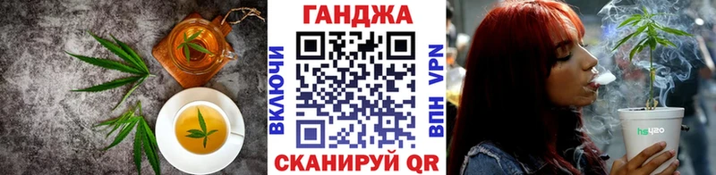 Cannafood конопля  что такое   Суджа 