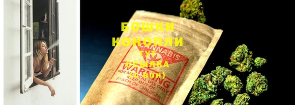 ГАЛЛЮЦИНОГЕННЫЕ ГРИБЫ Михайловка