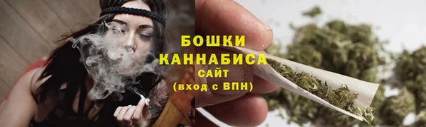 ГАЛЛЮЦИНОГЕННЫЕ ГРИБЫ Михайловка