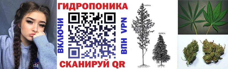 Бошки Шишки ГИДРОПОН  наркошоп  Суджа 